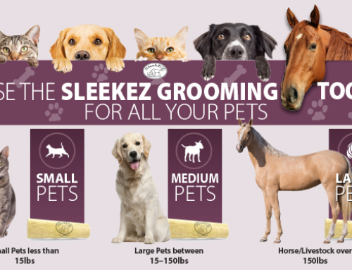 SLEEKEZ Grooming Banner – 8 ft. x 5 ft.